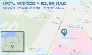 PORADNIA NEONATOLOGICZNA - SZPITAL WOJEWÓDZKI W BIELSKU-BIAŁEJ - UL. AL.ARMII KRAJOWEJ 101, BIELSKO-BIAŁA